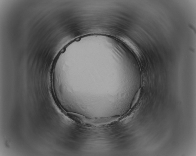 X0000091230999200709061515
