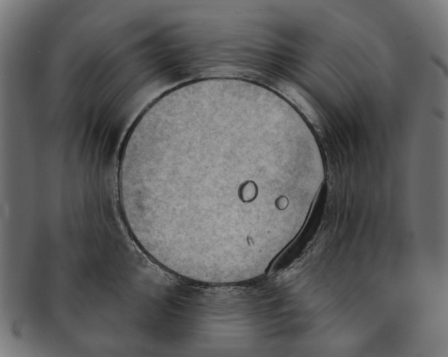 X0000091231000200709061515