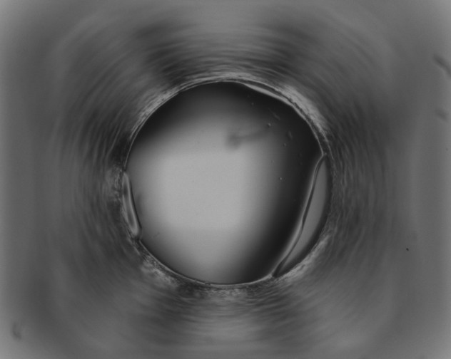 X0000091231001200709061515