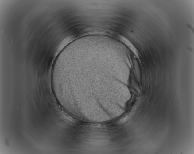 X0000091231002200709061515