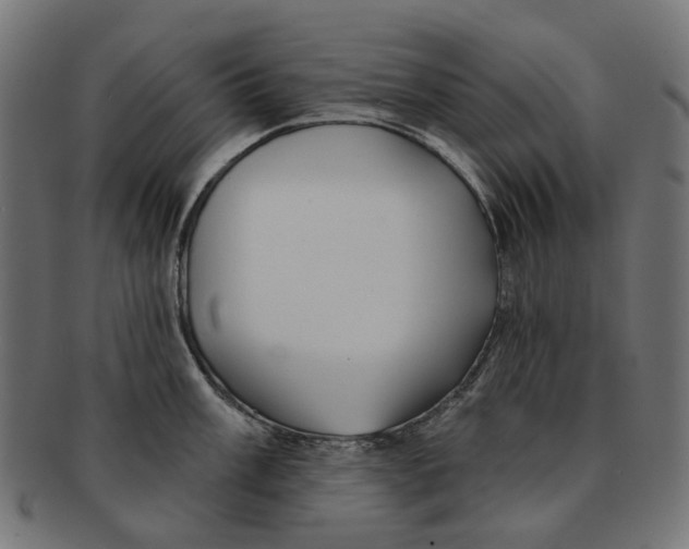 X0000091231003200709061515
