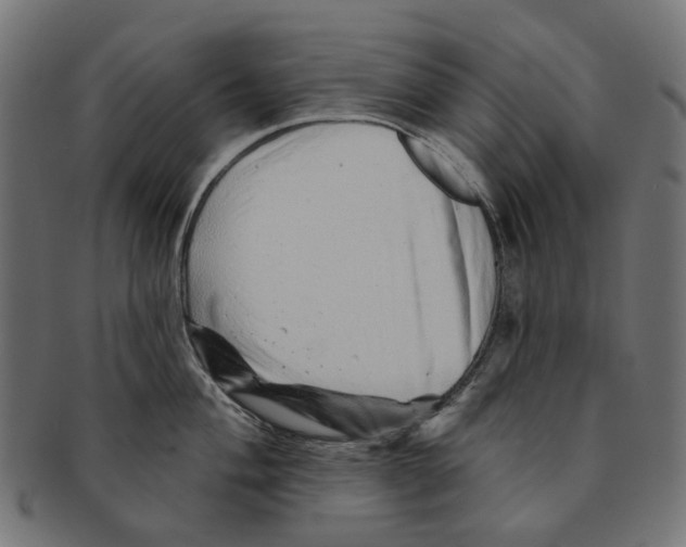 X0000091231004200709061515