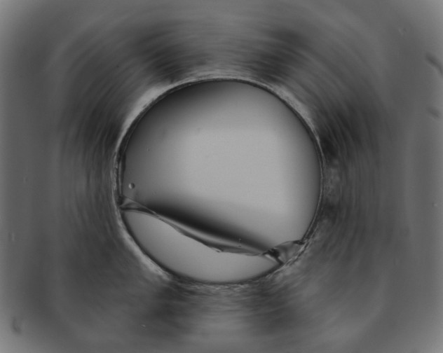 X0000091231005200709061515
