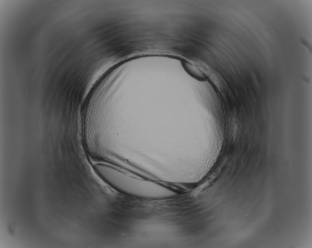 X0000091231006200709061515