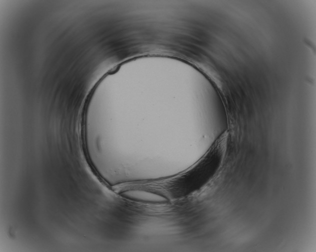 X0000091231007200709061515