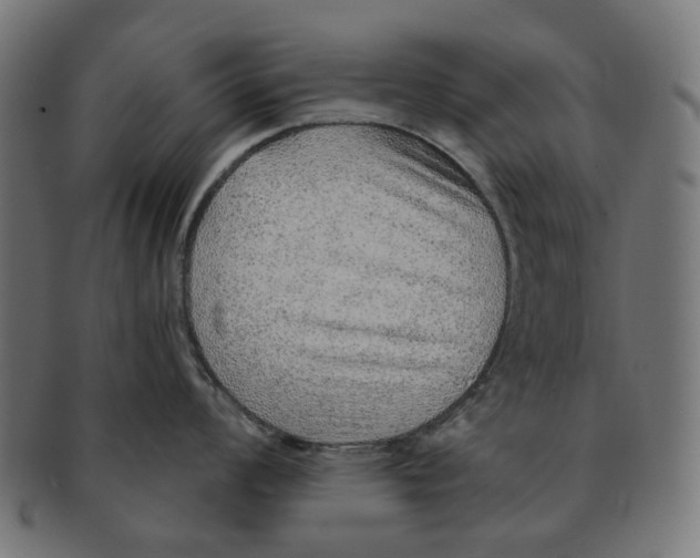 X0000091231008200709061515