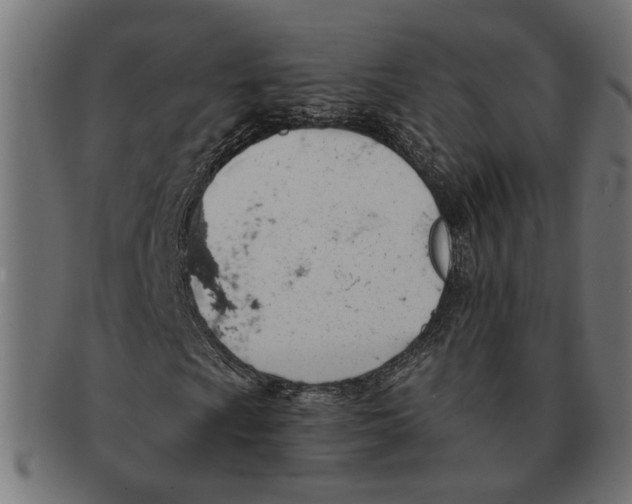 X0000091231009200709061515
