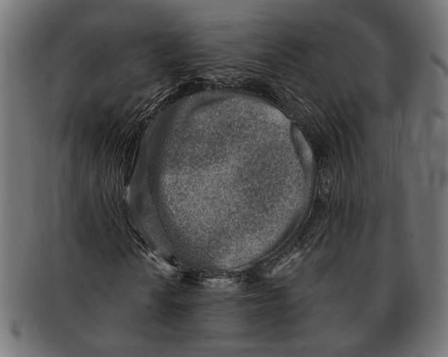 X0000091231010200709061515
