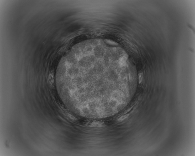X0000091231011200709061515