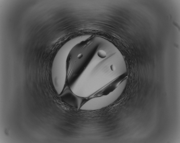 X0000091231014200709061515