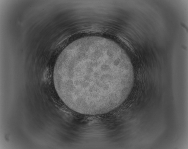 X0000091231015200709061515