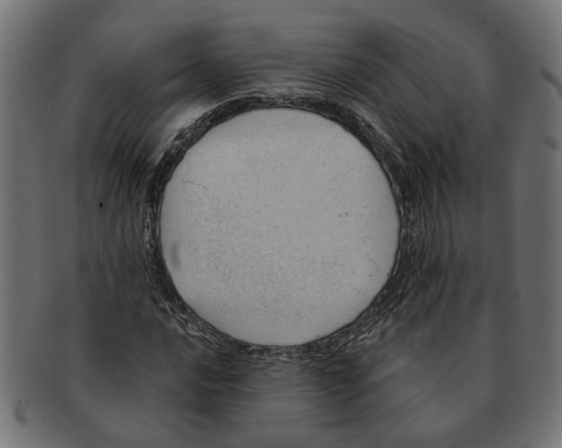 X0000091231016200709061515
