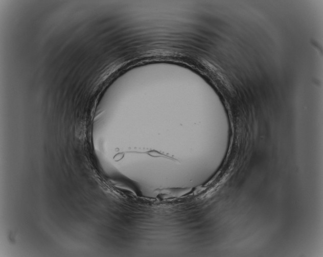 X0000091231017200709061515