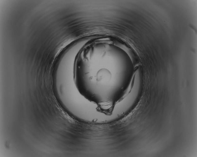 X0000091231018200709061515