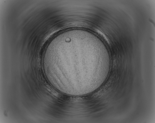 X0000091231019200709061515