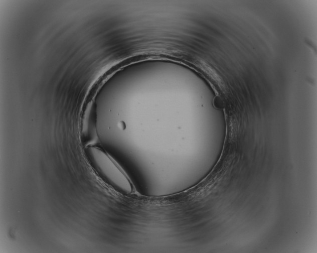 X0000091231020200709061515