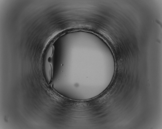 X0000091231021200709061515