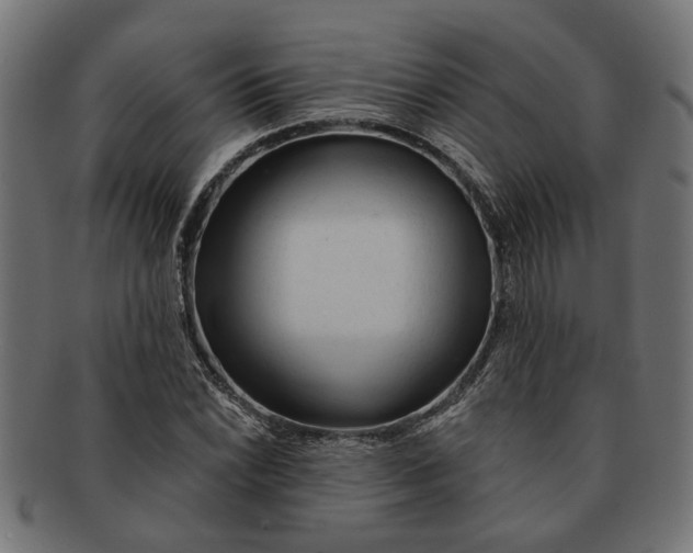 X0000091231022200709061515