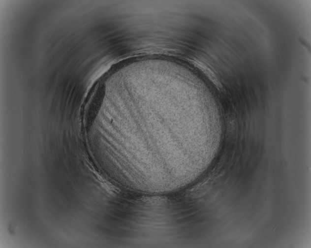 X0000091231023200709061515