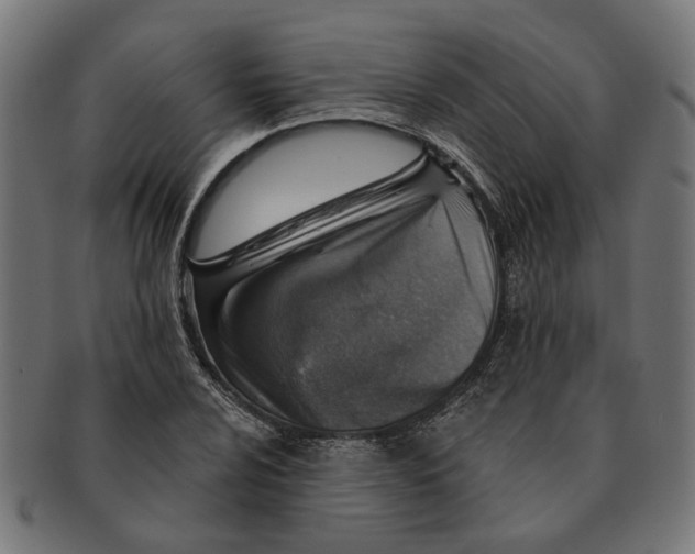 X0000091231024200709061515