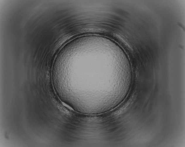 X0000091231025200709061515