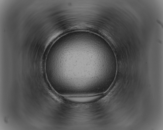 X0000091231026200709061515
