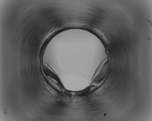 X0000091231027200709061515