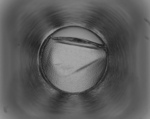 X0000091231028200709061515