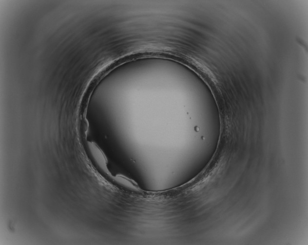 X0000091231029200709061515