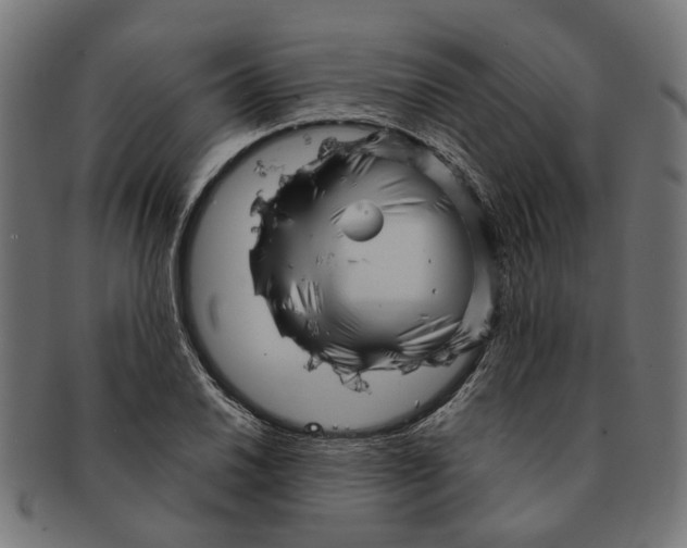 X0000091231030200709061515