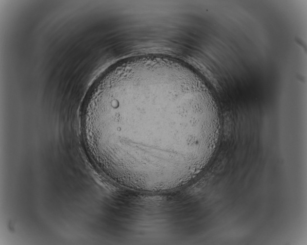 X0000091231031200709061515