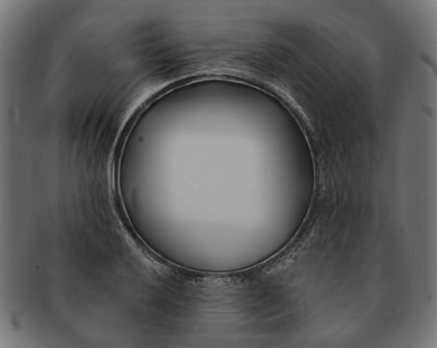 X0000091231032200709061515