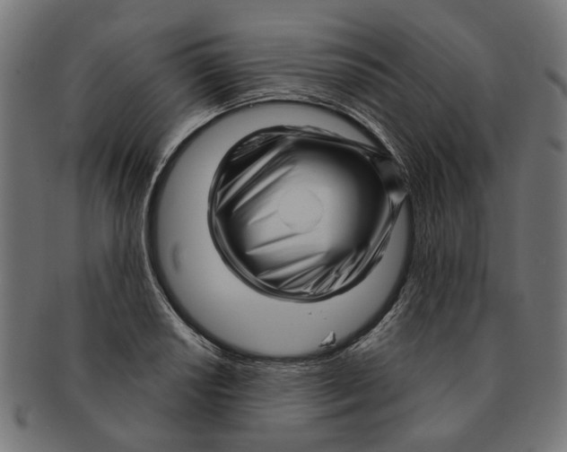 X0000091231034200709061515