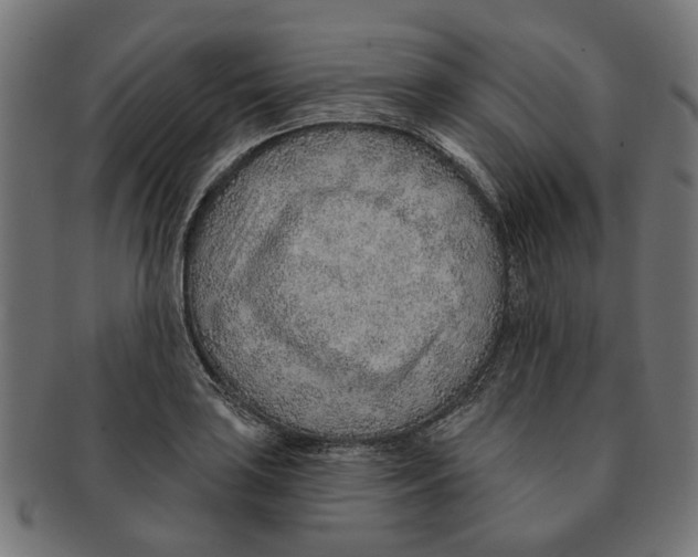 X0000091231035200709061515