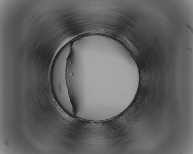 X0000091231036200709061515