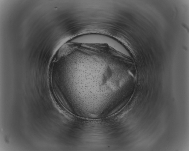X0000091231038200709061515