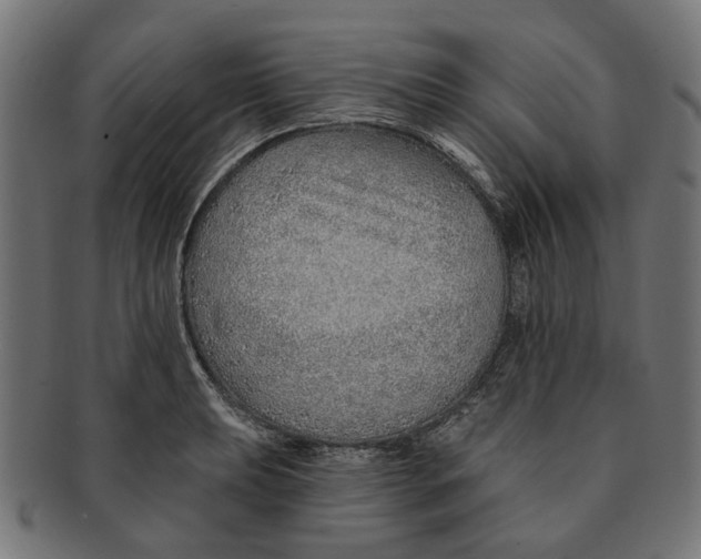 X0000091231039200709061515