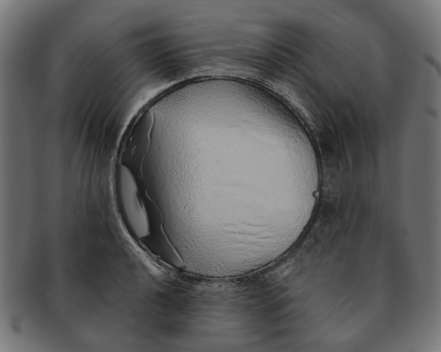 X0000091231040200709061515