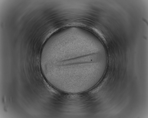 X0000091231041200709061515