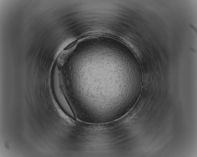 X0000091231042200709061515