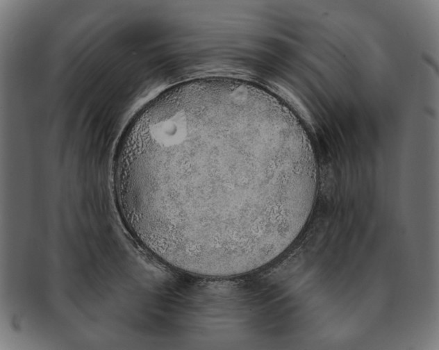 X0000091231043200709061515