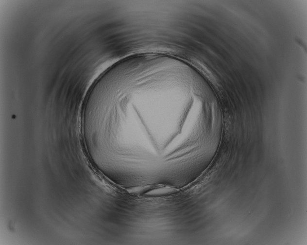 X0000091231044200709061515