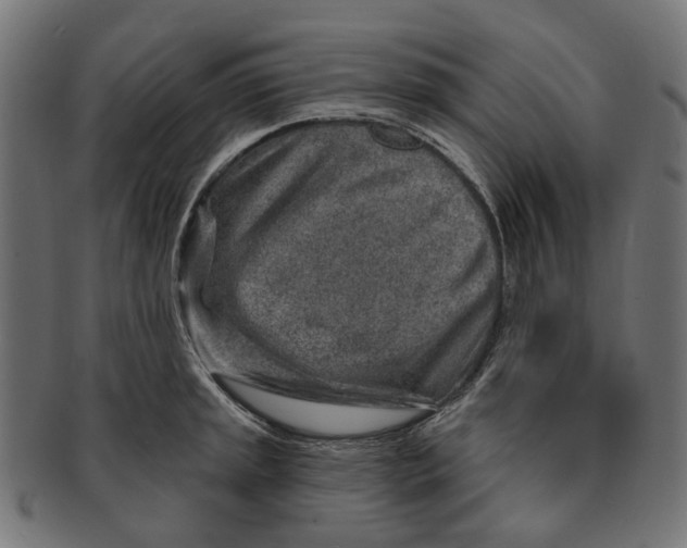 X0000091231045200709061515