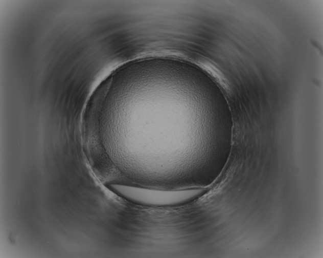 X0000091231046200709061515