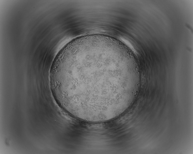 X0000091231047200709061515