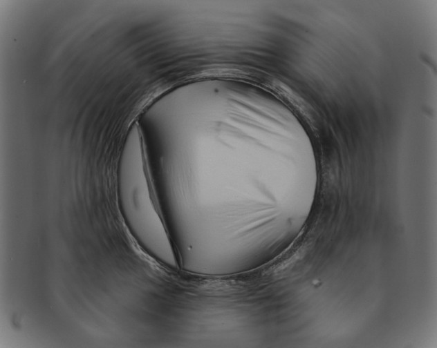 X0000091231049200709061515