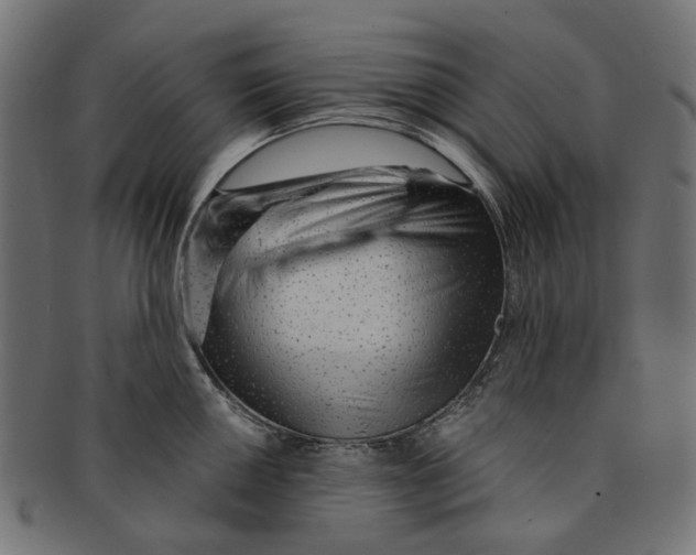 X0000091231050200709061515