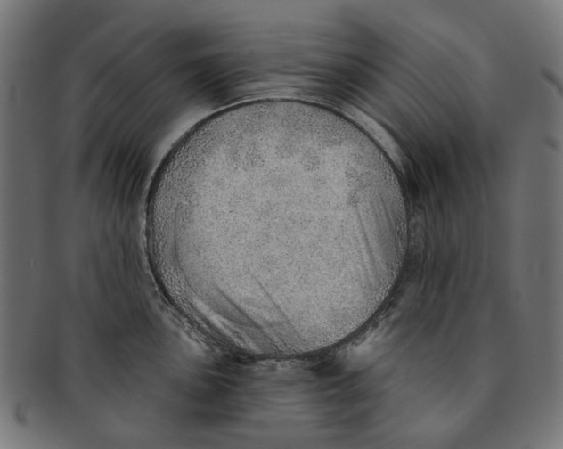 X0000091231051200709061515