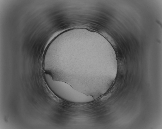 X0000091231052200709061515