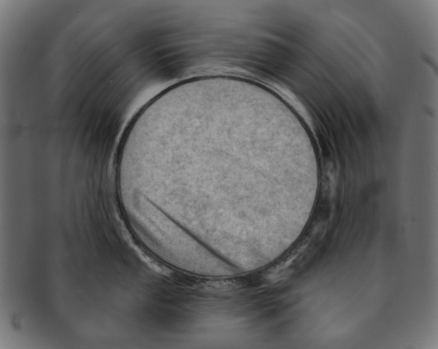 X0000091231053200709061515